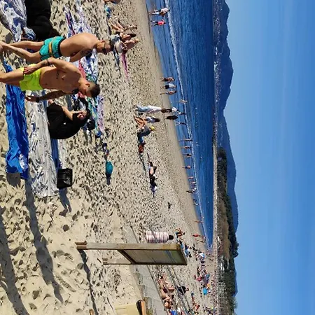 Turistico Menendez Pelayo -vigo Vigo